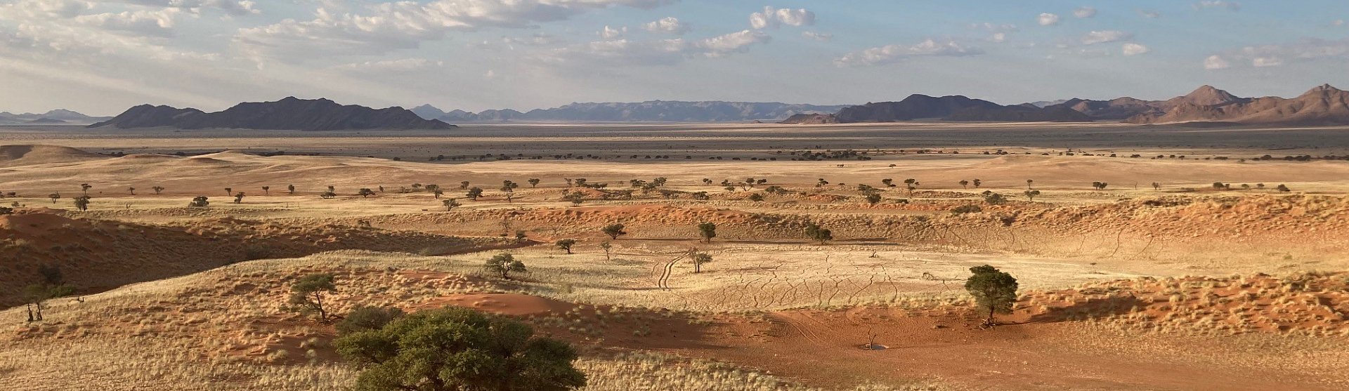 bushbundu-car-rental-windhoek-namibia-desert-image-with-trees-and-clouds-reservation-page-cover-image