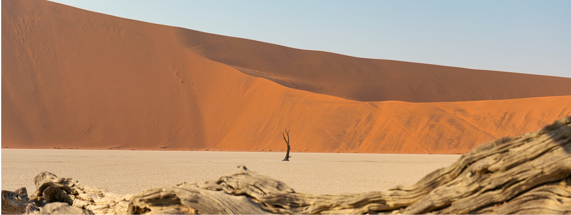 bushbundu-car-rental-windhoek-namibia-home-page-image-of-fully-equipped-with-camping-equipment-4x4-toyota-hilux-on-the-desert-side-view