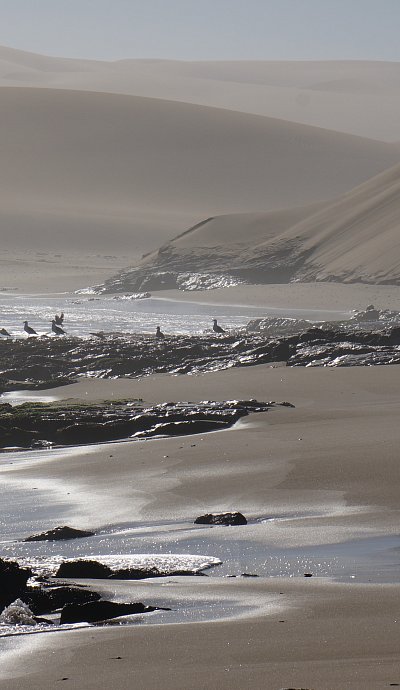 bushbundu-car-rental-windhoek-namibia-image-of-sea-in-the-desert