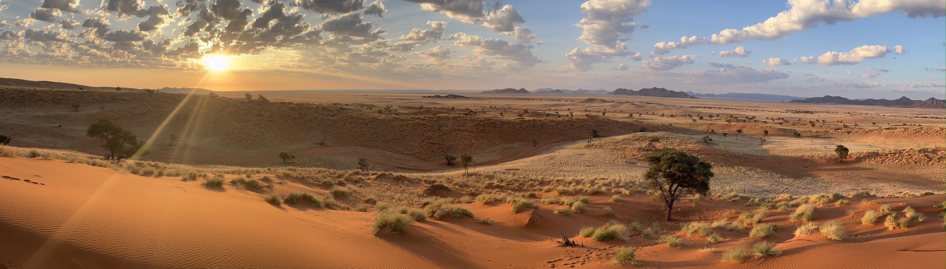 bushbundu-car-rental-windhoek-namibia-sunrise-in-the-desert-terms-and-conditions-cover-image