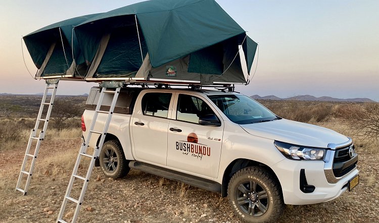 wäscheleine zelten Camping (3 m, reflektierend) für Reise, Vanlife, Badewanne, Wohnwagen und Balkon. Reisewäscheleine Schwarz Küche, Haushalt & member:55435081646248:911 COLOR:SATIN CYPRESS METALLIC / ION METALLIC Fahrradsattel als Schloss -